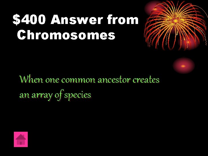 $400 Answer from Chromosomes When one common ancestor creates an array of species 