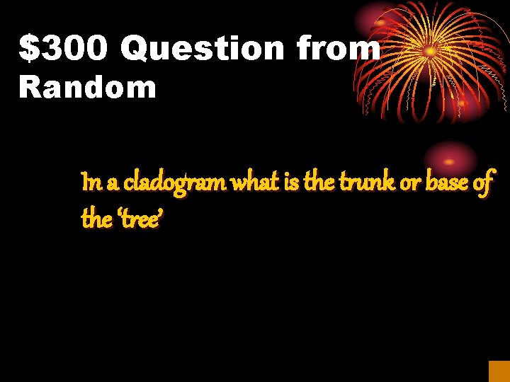 $300 Question from Random In a cladogram what is the trunk or base of