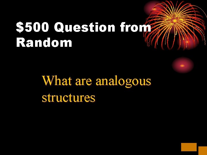 $500 Question from Random What are analogous structures 