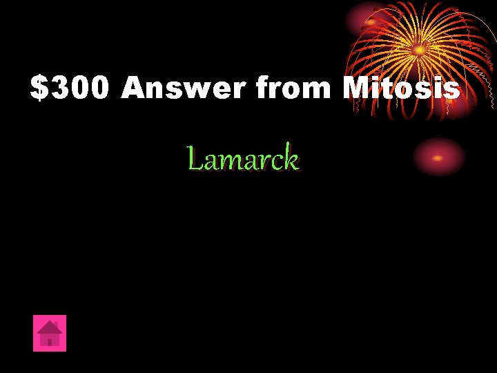 $300 Answer from Mitosis Lamarck 