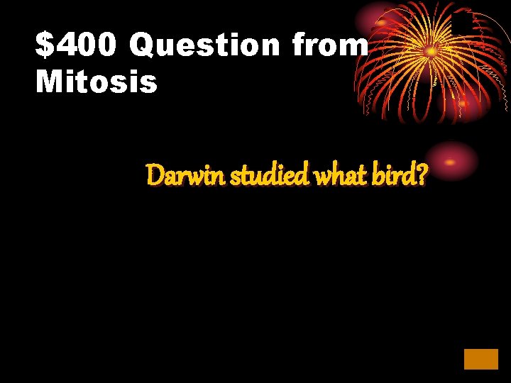 $400 Question from Mitosis Darwin studied what bird? 