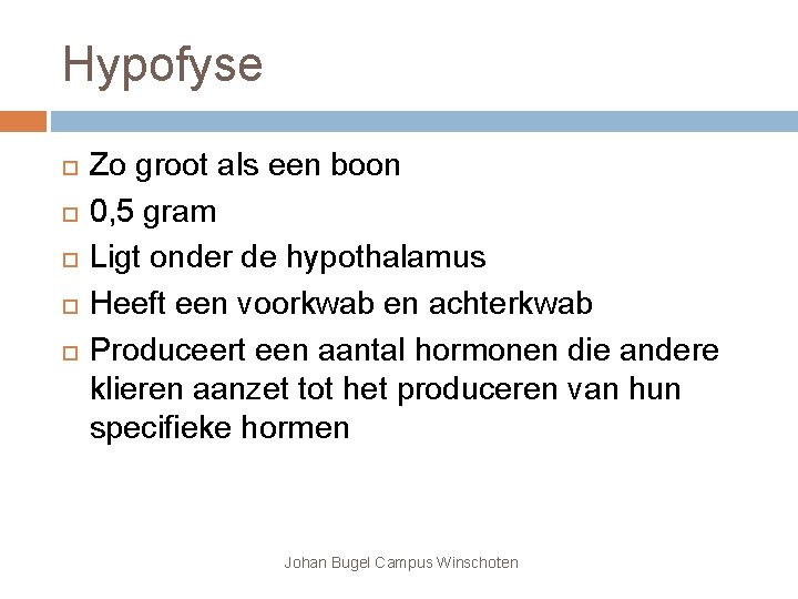 Hypofyse Zo groot als een boon 0, 5 gram Ligt onder de hypothalamus Heeft