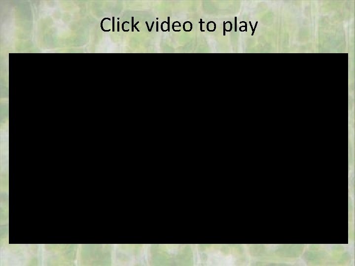 Click video to play 