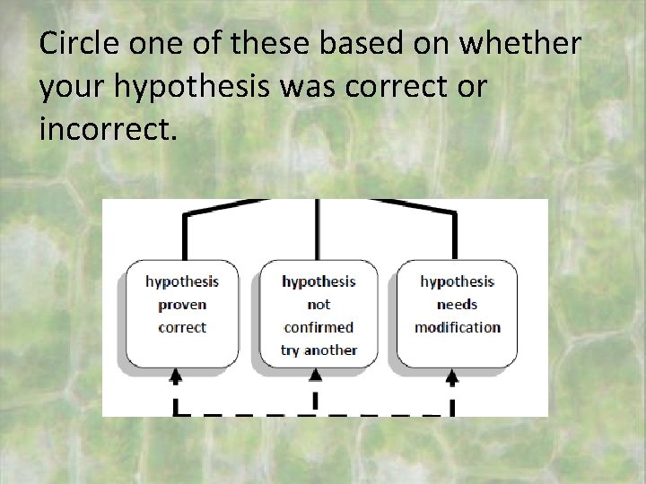 Circle one of these based on whether your hypothesis was correct or incorrect. 