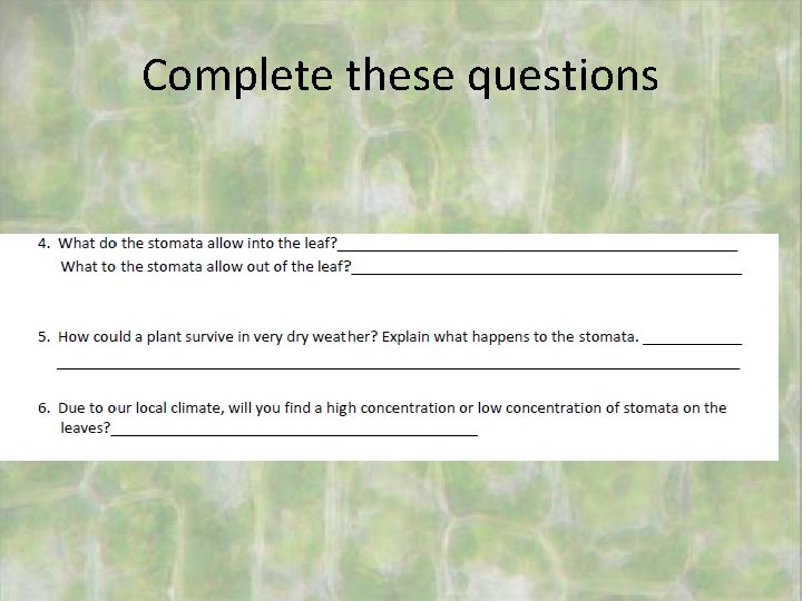 Complete these questions 