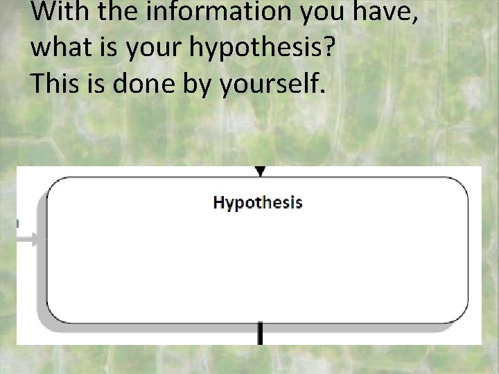 With the information you have, what is your hypothesis? This is done by yourself.