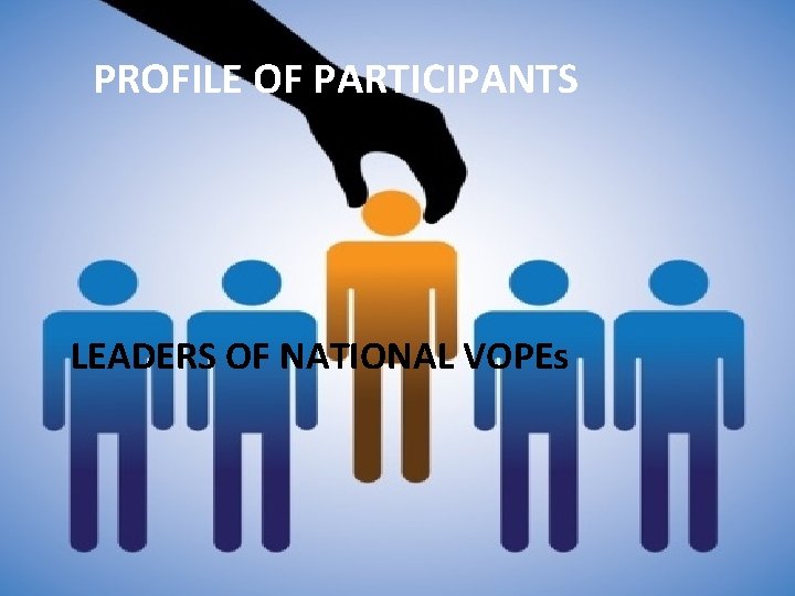 PROFILE OF PARTICIPANTS LEADERS OF NATIONAL VOPEs 