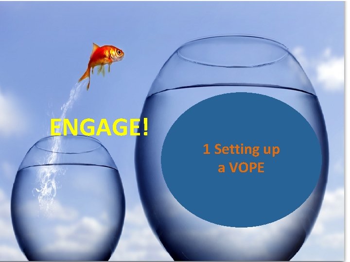 PROFILE OF PARTICIPANTS ENGAGE! 1 Setting up a VOPE 