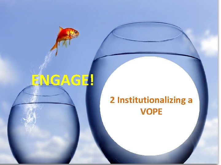 PROFILE OF PARTICIPANTS ENGAGE! 2 Institutionalizing a VOPE 