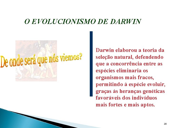 O EVOLUCIONISMO DE DARWIN Darwin elaborou a teoria da seleção natural, defendendo que a