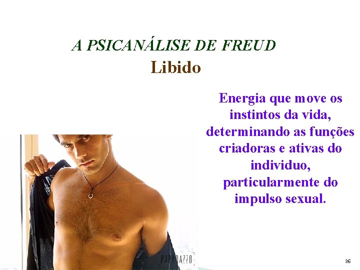 A PSICANÁLISE DE FREUD Libido Energia que move os instintos da vida, determinando as