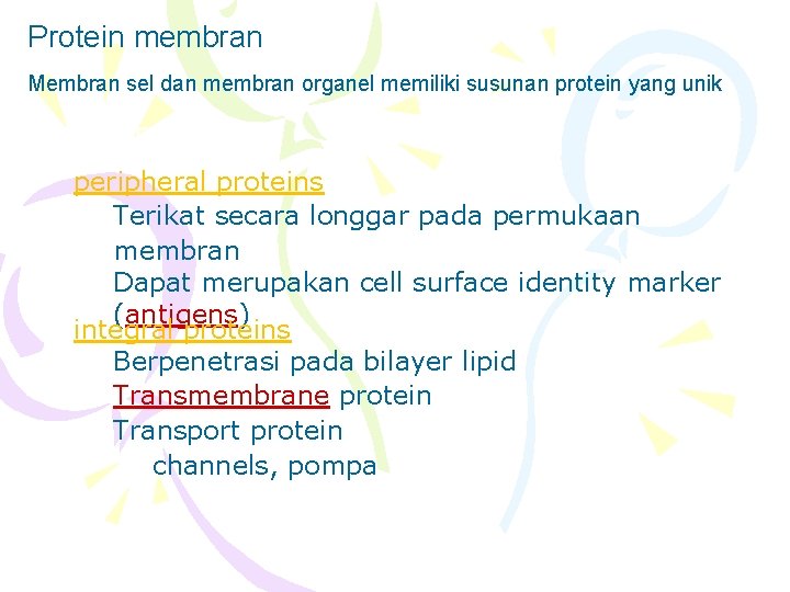 Protein membran Membran sel dan membran organel memiliki susunan protein yang unik Membrane proteins