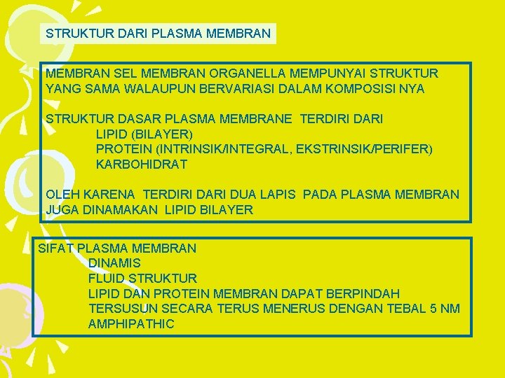 STRUKTUR DARI PLASMA MEMBRAN SEL MEMBRAN ORGANELLA MEMPUNYAI STRUKTUR YANG SAMA WALAUPUN BERVARIASI DALAM