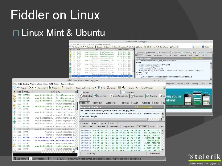 Fiddler on Linux � Linux Mint & Ubuntu 