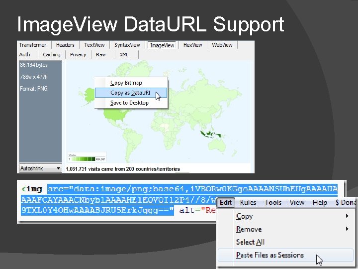 Image. View Data. URL Support 