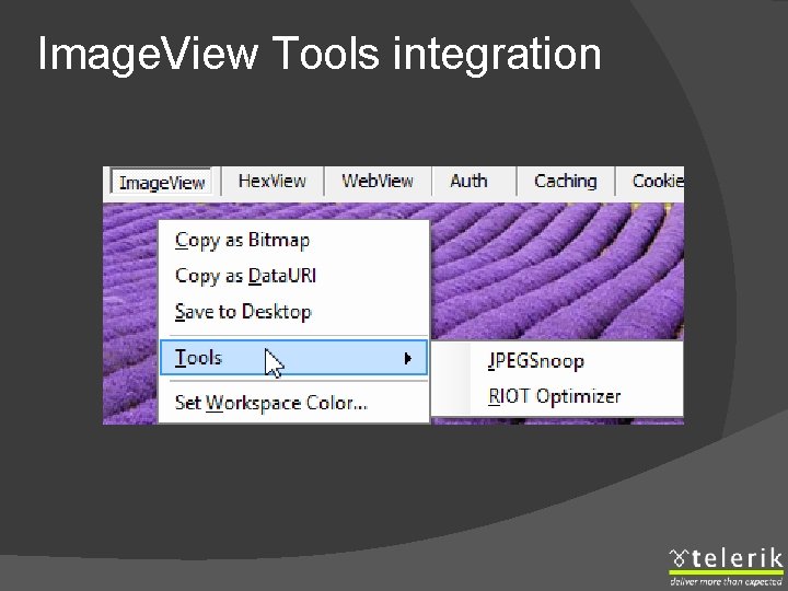 Image. View Tools integration 