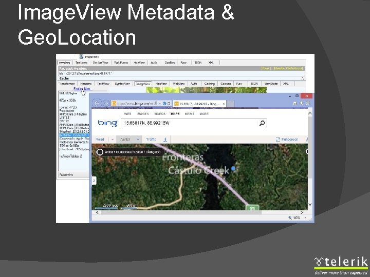 Image. View Metadata & Geo. Location 