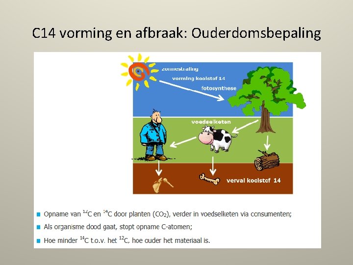 C 14 vorming en afbraak: Ouderdomsbepaling 