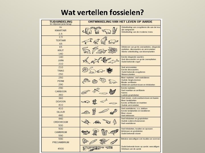 Wat vertellen fossielen? 
