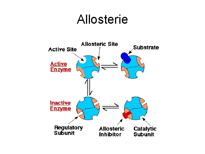 Allosterie 