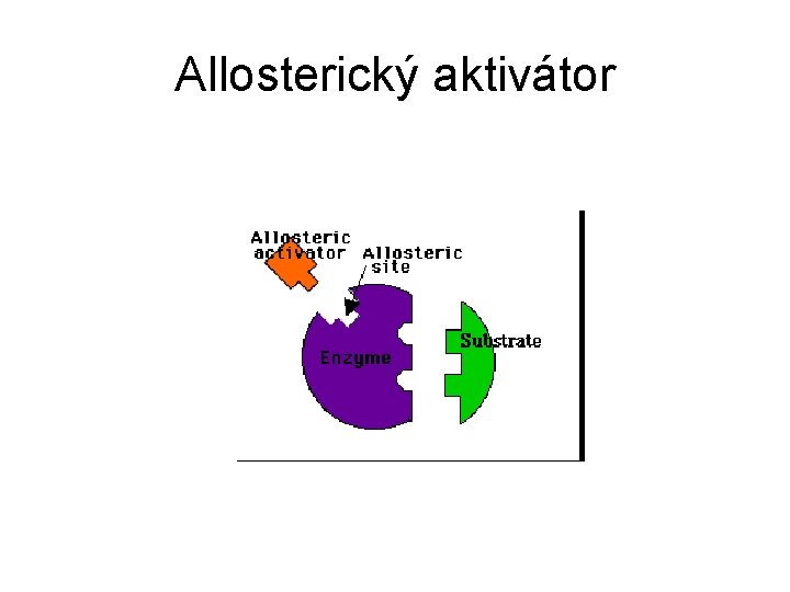 Allosterický aktivátor 