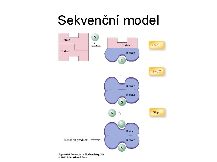 Sekvenční model 