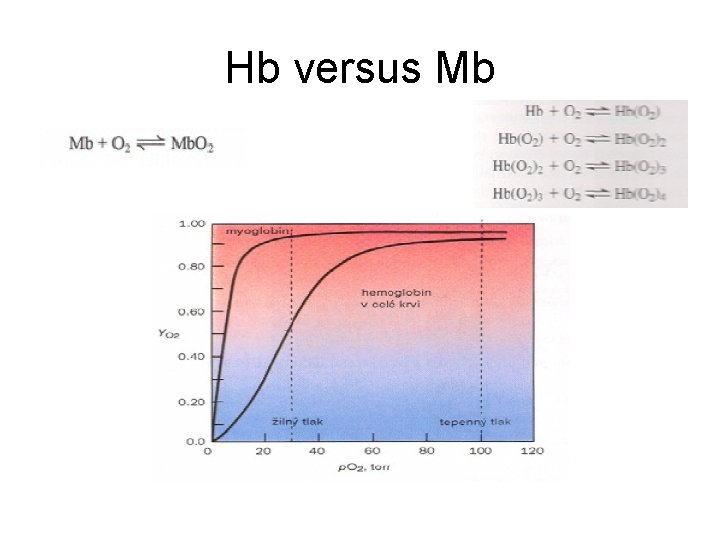 Hb versus Mb 