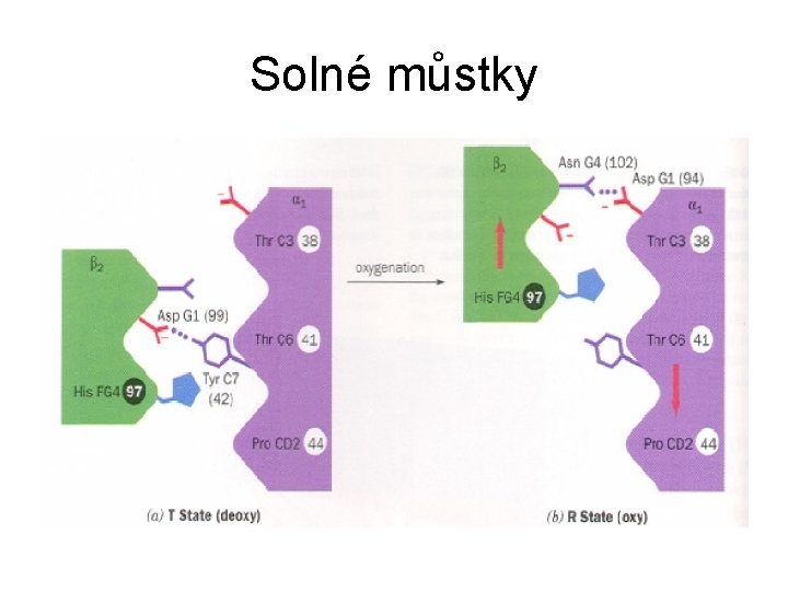 Solné můstky 