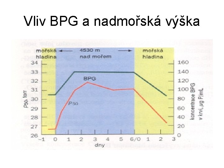 Vliv BPG a nadmořská výška 