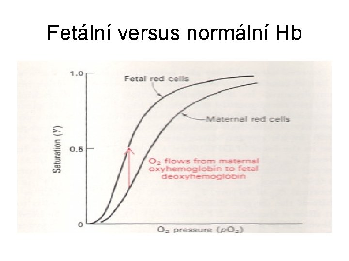 Fetální versus normální Hb 