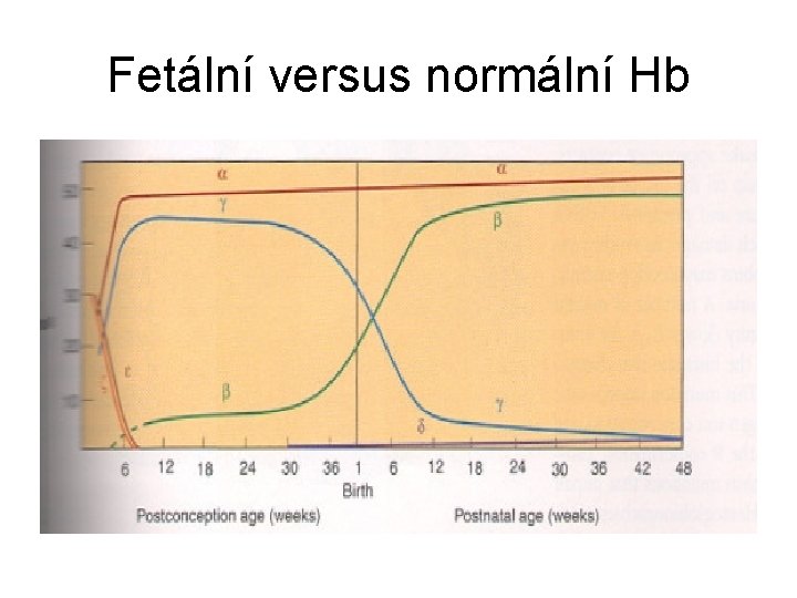 Fetální versus normální Hb 