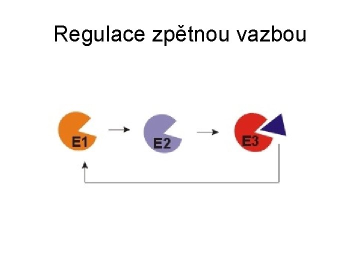 Regulace zpětnou vazbou 