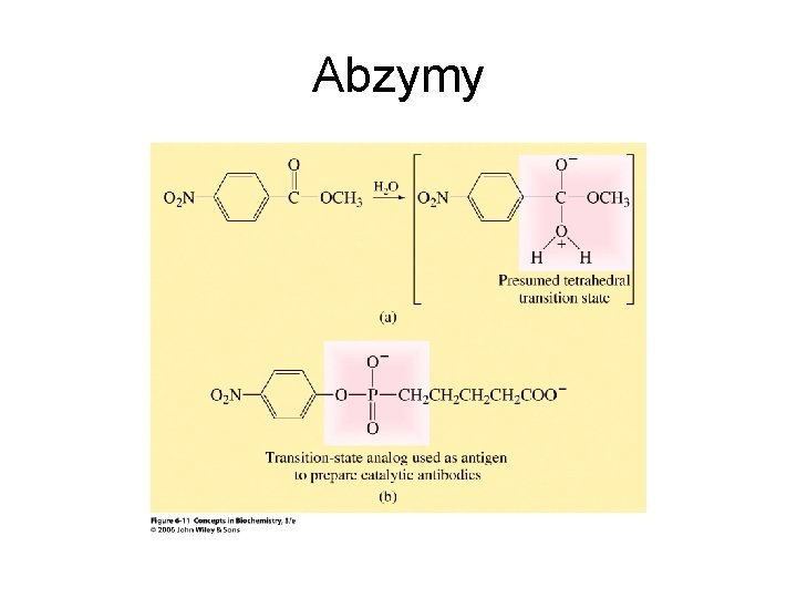 Abzymy 