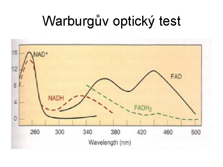 Warburgův optický test 