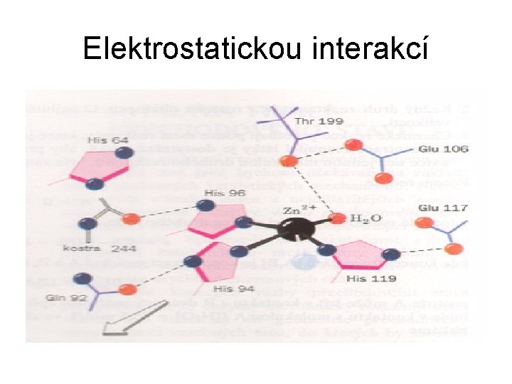 Elektrostatickou interakcí 