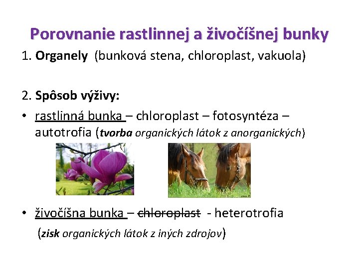 Porovnanie rastlinnej a živočíšnej bunky 1. Organely (bunková stena, chloroplast, vakuola) 2. Spôsob výživy: