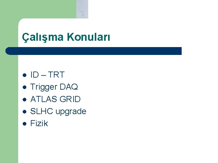 Çalışma Konuları l l l ID – TRT Trigger DAQ ATLAS GRID SLHC upgrade