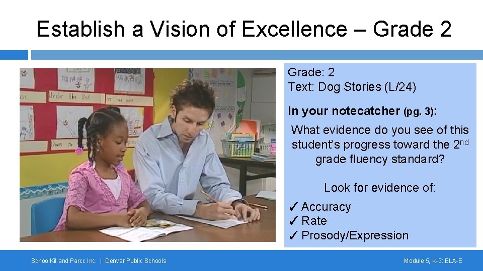 Establish a Vision of Excellence – Grade 2 Grade: 2 Text: Dog Stories (L/24)