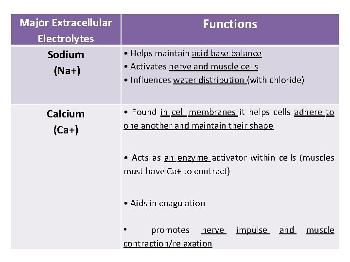 Major Extracellular Functions Electrolytes • Helps maintain acid base balance Sodium • Activates nerve