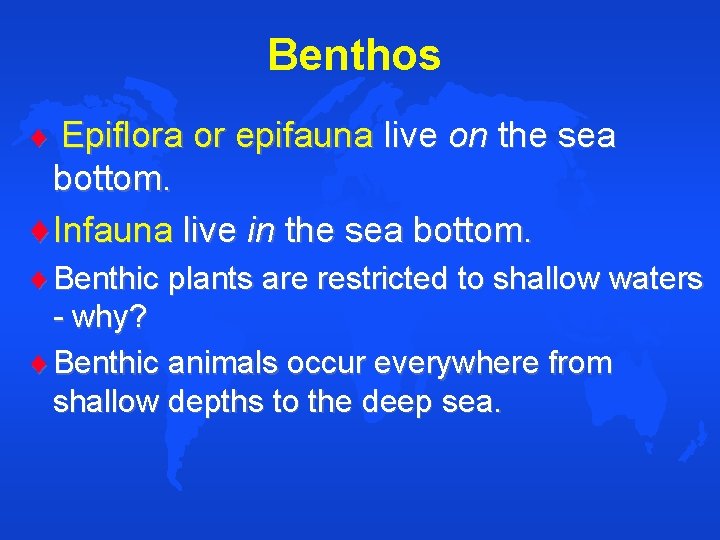 Benthos Epiflora or epifauna live on the sea bottom. Infauna live in the sea