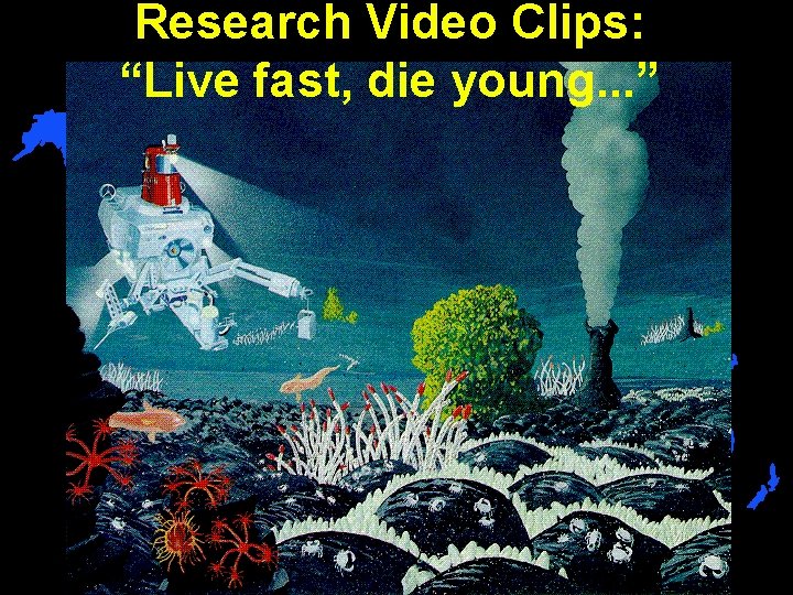 Research Video Clips: “Live fast, die young. . . ” 