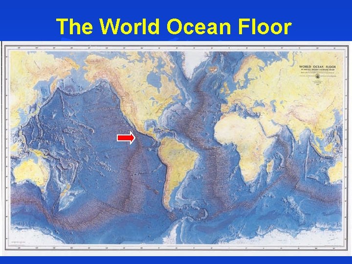 The World Ocean Floor 