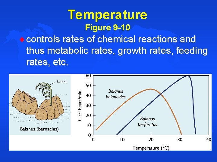 Temperature Figure 9 -10 controls rates of chemical reactions and thus metabolic rates, growth