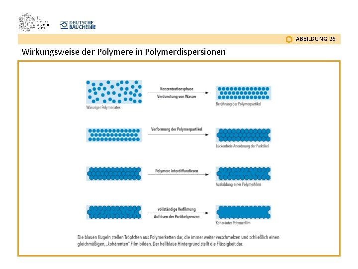 ABBILDUNG 26 Wirkungsweise der Polymere in Polymerdispersionen 