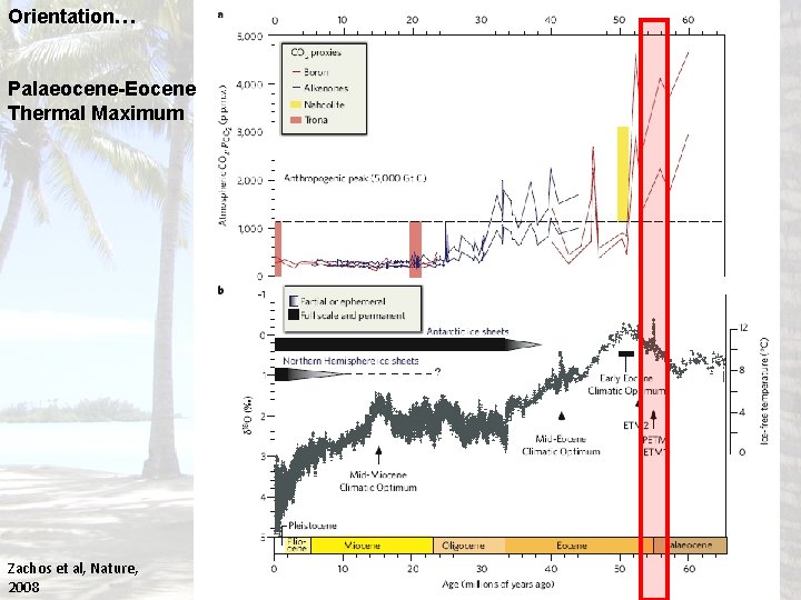 Orientation… Palaeocene-Eocene Thermal Maximum Zachos et al, Nature, 2008 