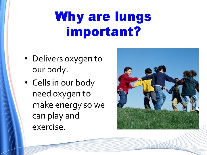 Why are lungs important? • Delivers oxygen to our body. • Cells in our