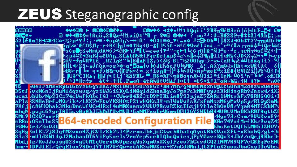 ZEUS Steganographic config 