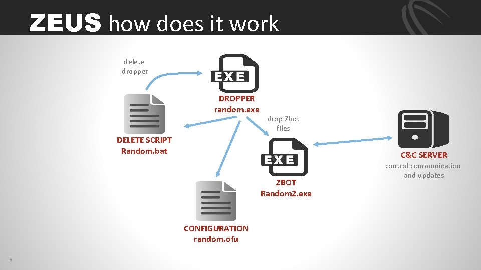 ZEUS how does it work delete dropper DROPPER random. exe drop Zbot files DELETE