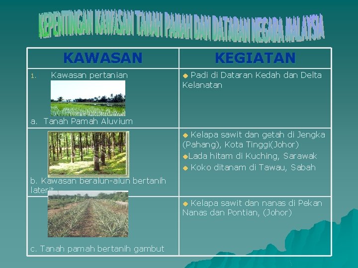 KAWASAN 1. Kawasan pertanian KEGIATAN Padi di Dataran Kedah dan Delta Kelanatan u a.
