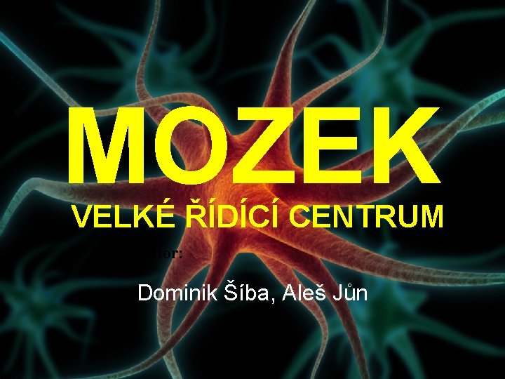 MOZEK VELKÉ ŘÍDÍCÍ CENTRUM autor: Dominik Šíba, Aleš Jůn 